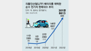 국내 전기차, 값싼 ‘LFP배터리’ 탑재 늘어날듯