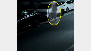 주택가서 20cm 흉기 들고 배회한 20대 男, 8만원 내고 석방…왜?