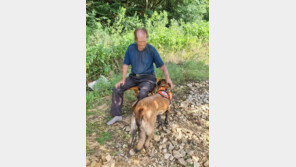 폭염 속 실종된 치매 노인…구조견 ‘태공’이 수색 1시간만에 찾아