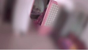 지인 집 턴 중국인 절도범, 잡고보니 흉기난동·교통사고 낸 수배범