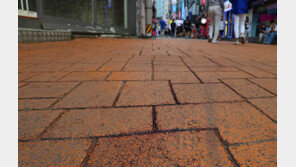 잇단 신림역 살인 예고글…경찰 전담대응팀 구성 “총력 대응”