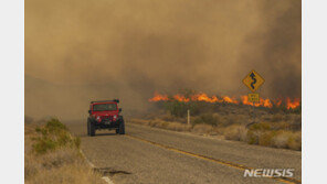 네바다까지 번진 캘리포니아 산불…서울 면적 절반 넘게 태웠다