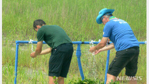 잼버리대회 ‘곰팡이 달걀’ 7건 확인…식약처, 조사착수