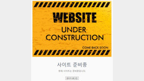 ‘상온 초전도체’ 주장 연구소 홈페이지 접속 불가…협업 기관 도용 의혹도