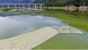 폭염 속 소양호 상류에 녹조…강원도, 대응상황실 운영