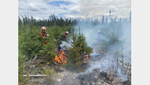 韓 긴급구호대, 캐나다서 “산불 진화율 94% 달성”