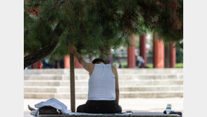 강릉 ‘38.4도’ 2000년 이후 가장 더웠다…밤엔 전국 ‘열대야’