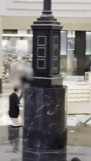 서현역 흉기난동범 “누가 나를 청부살인 하려 해” 횡설수설