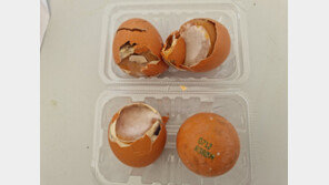 곰팡이 계란-내부 보이는 샤워실…“국제적 나라 망신”