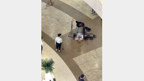 “신나서 소리 지르고 뛰며 흉기 휘둘러” …서현역 목격자들 ‘공포’