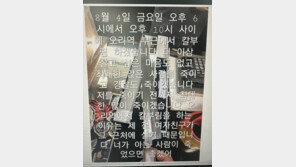 ‘서현역 흉기난동’ 인근 오리역서 4일 살인 예고…경찰, 수사 착수