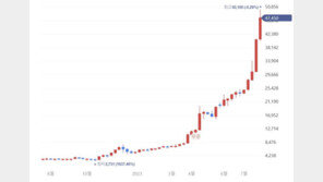 “이차전지 테마였네”…3000원짜리 주식이 1년만에 5만원?