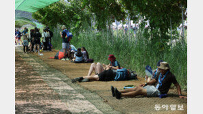 필리핀·사우디·아르헨 잼버리 대표단 “새만금 잔류”