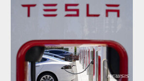 일론 머스크 “완전자율주행 마지막 퍼즐만 남아”