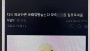 “디씨 폐쇄하면 국회의원들 밤에 죽일 것” 협박글…경찰, IP 추적
