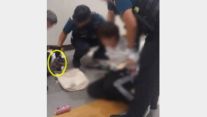 강남 고속터미널 ‘흉기소지’ 20대, 그날 새벽 “경찰 찌르겠다” 예고글
