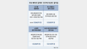 배터리 업계, 中의존 98% ‘전구체’ 국산화 시동… IRA 대응 