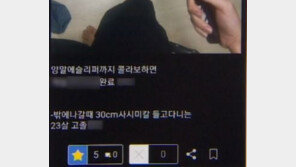 분당 흉기난동 피의자, 범행 전 ‘신림동 살인’ ‘사시미칼’ 검색