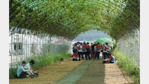 잼버리 K-팝 공연 사고 없게…범정부 안전관리 TF 운영