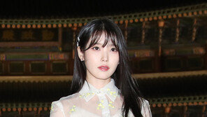 ‘아이유는 북한 간첩’ 허위글 유포자 신원 특정…당사자 조사 거부