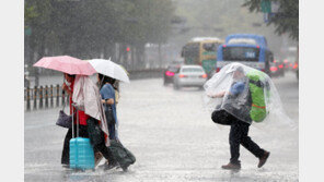 전국 폭염인데 강원 고성엔 이틀간 300㎜ 폭우…침수 피해도 속출