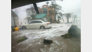 11년 전 ‘산바’ 닮은 태풍 ‘카눈’…전국이 ‘위험지대’