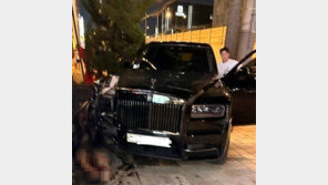보행자 친 롤스로이스 男…‘마약 양성’에도 석방