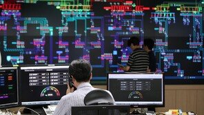 전력수요 ‘역대 여름 최고치’ 경신…“태풍 오면 내려갈듯”