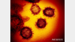 美 코로나19 확산 속 ‘EG.5’ 변이 우세종 돼…전체 17.3%