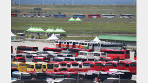 잼버리서 마약 의심 신고, 알고보니 항생제 성분 약 가루