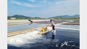 해수부, 추석 전까지 정부 비축 천일염 400t 추가 공급