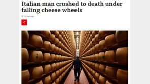 수천 개 치즈 더미에 깔린 伊남성…시신 찾는 데만 12시간