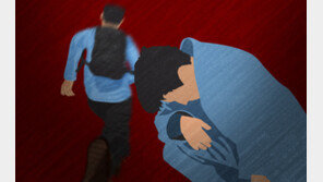 “누군가 나를 조종해”…여성 뺨 때리고 행패 부린 사회복무요원 징역형