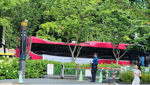 서울광장에 정체불명 박스 신고…도넛 박스로 확인