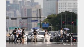 펄펄 끓는 지구…‘탄소 배출’이 원인이 아니라고?