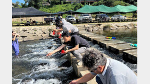 섬진강에 참다슬기 60만마리 방류…내년 3월 채취 가능
