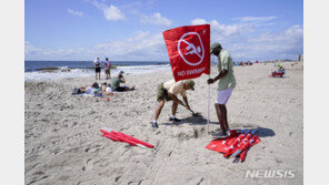 “깨끗해진 바닷가에 상어 출현”…물림 사고로 뉴욕 해변 폐쇄