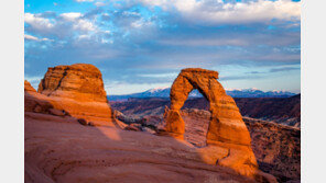 폭염 속 아버지 유골 뿌리던 아들 열사병으로 사망
