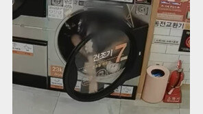 만취 여중생, 새벽 4시 빨래방 건조기 들어가 ‘쾅쾅’ 난동