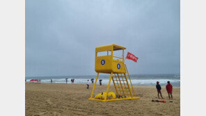 ‘20년 전 그놈’ 루사 트라우마에 동해안 ‘초긴장’…“제발 무사히”