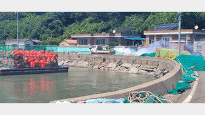 여름철 감염병 예방 총력