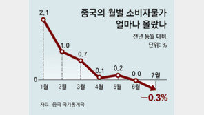 中 7월물가 -0.3%… 중국發 ‘디플레이션의 공포’ 