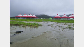 기존 매립지 두고 갯벌 메워… 1846억 쓰고도 ‘진흙탕 야영장’ 