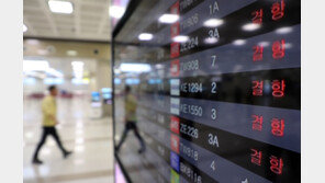 김해공항 여객기 123편 결항…부산~일본 여객선 7척도 운항 중단