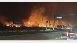 산불 덮친 하와이…주민들, 불 피하려 바다에 뛰어들어