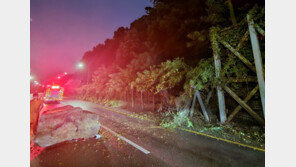 ‘카눈 상륙’ 강한 비바람에 남해안·제주 ‘피해’…낙석·도로침수·통제