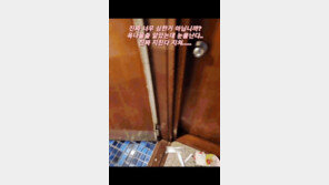 여배우 부부의 숙박업소 ‘쓰레기 테러’…“비위 약하면 보지마”