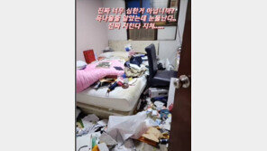 “비위 약한 분 보지마” 배우 정정아 운영 숙박업소에 ‘쓰레기 테러’