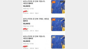 “뉴진스 광팬인데 단복 좀”…잼버리 K팝 콘서트 ‘위장 진입’ 시끌