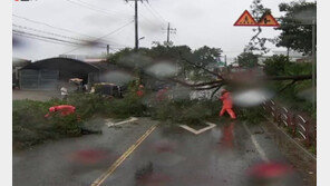 중대본 “태풍 공식집계 피해 없어”…1만641명 대피